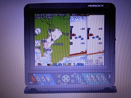 HONDEX PS800GP(s)